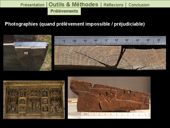 Présentation │Outils & Méthodes │ Réflexions │ Conclusion Prélèvements Photographies (quand prélèvement impossible /
