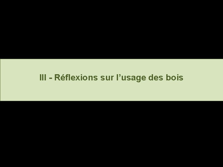 III - Réflexions sur l’usage des bois 