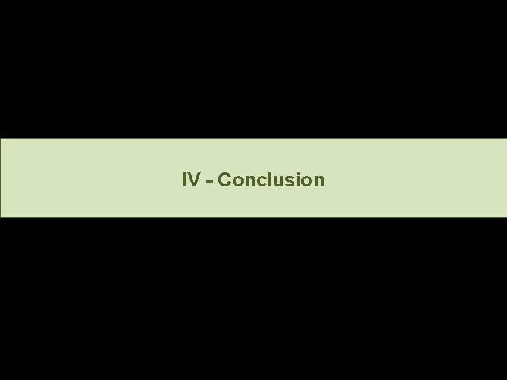 IV - Conclusion 