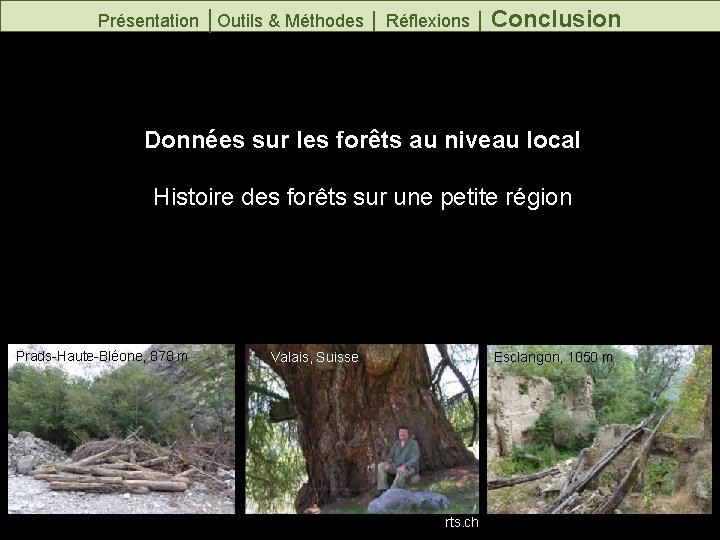 Présentation │Outils & Méthodes │ Réflexions │ Conclusion Données sur les forêts au niveau