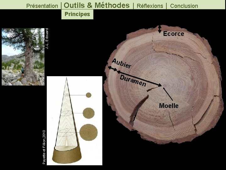 J. -L. Edouard Présentation │Outils & Méthodes │ Réflexions │ Conclusion Principes Ecorce Aub