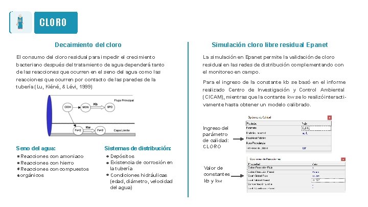 CLORO Decaimiento del cloro El consumo del cloro residual para impedir el crecimiento bacteriano