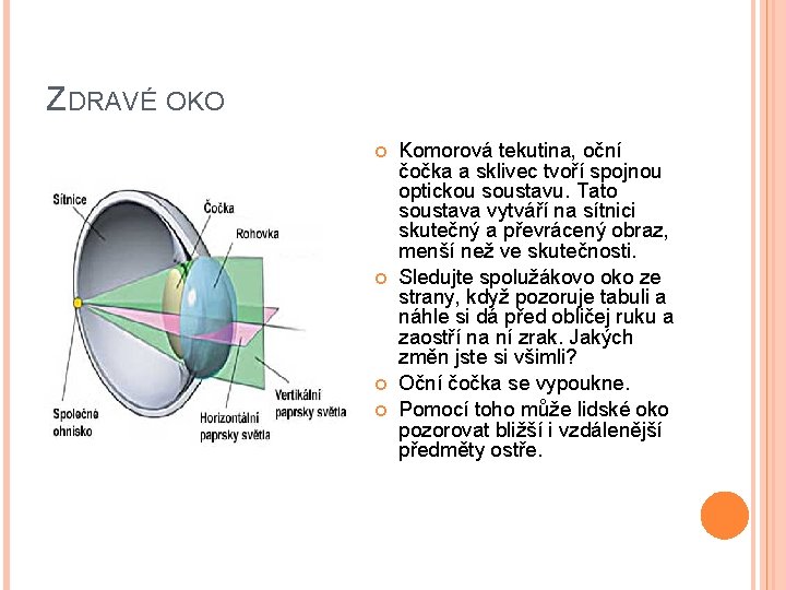 ZDRAVÉ OKO Komorová tekutina, oční čočka a sklivec tvoří spojnou optickou soustavu. Tato soustava