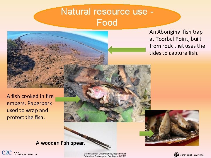Natural resource use Food An Aboriginal fish trap at Toorbul Point, built from rock