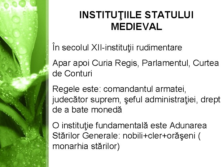 INSTITUŢIILE STATULUI MEDIEVAL În secolul XII-instituţii rudimentare Apar apoi Curia Regis, Parlamentul, Curtea de