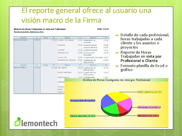 El reporte general ofrece al usuario una visión macro de la Firma Detalle de