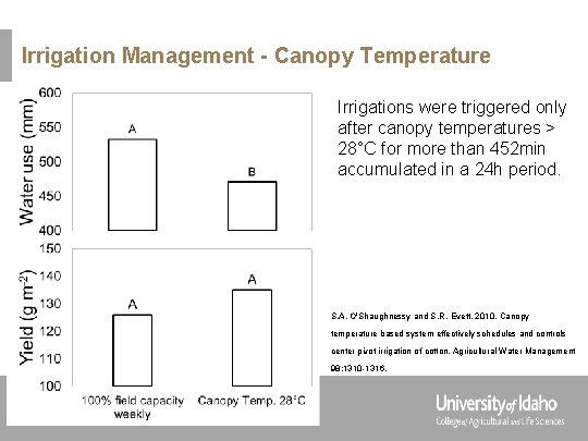 Irrigation Management - Canopy Temperature Irrigations were triggered only after canopy temperatures > 28°C