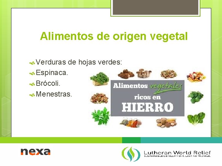 Alimentos de origen vegetal Verduras de hojas verdes: Espinaca. Brócoli. Menestras. 