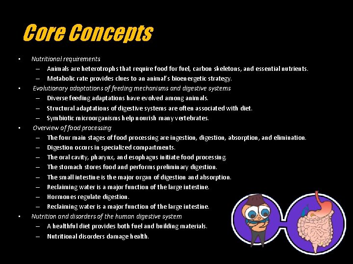 Core Concepts • • Nutritional requirements – Animals are heterotrophs that require food for