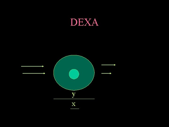 DEXA y x 