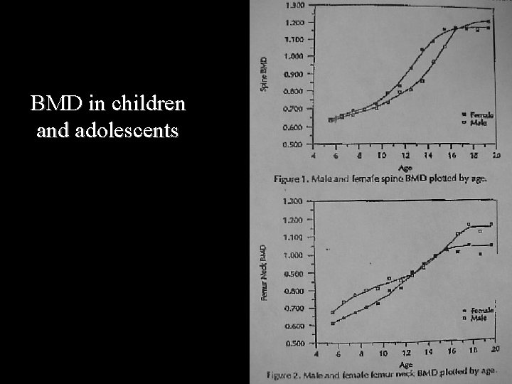 BMD in children and adolescents 