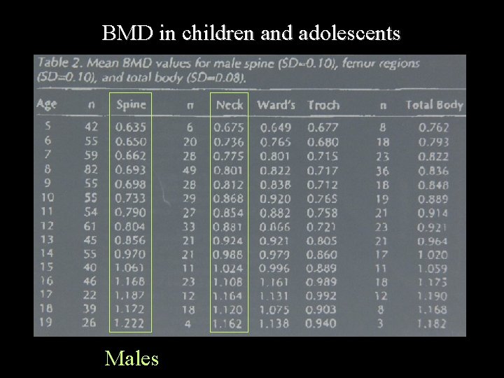 BMD in children and adolescents Males 
