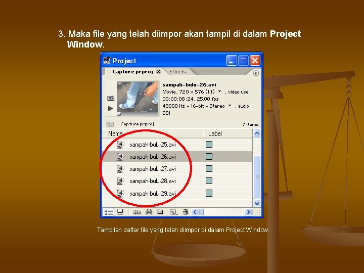 3. Maka file yang telah diimpor akan tampil di dalam Project Window. Tampilan daftar