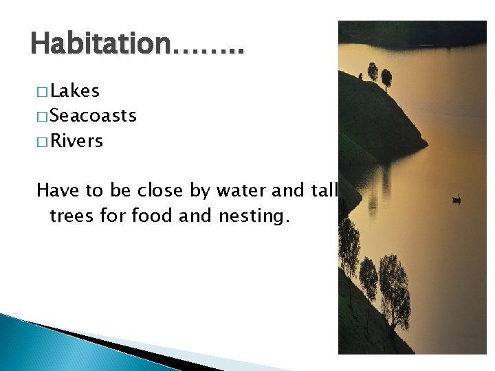 Habitation……. . � Lakes � Seacoasts � Rivers Have to be close by water