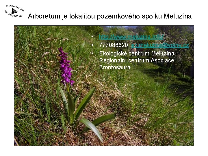 Arboretum je lokalitou pozemkového spolku Meluzína • http: //www. meluzina. info/ • 777086620, ec.