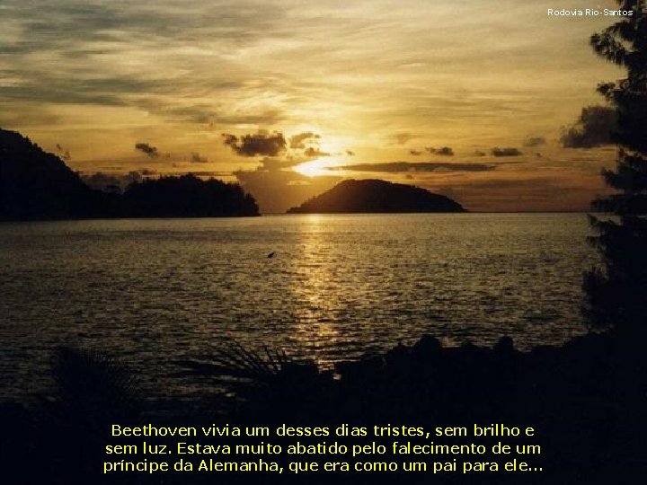 Rodovia Rio-Santos Beethoven vivia um desses dias tristes, sem brilho e sem luz. Estava