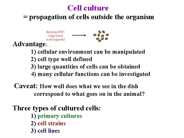 Cell culture = propagation of cells outside the organism Advantages: 1) cellular environment can