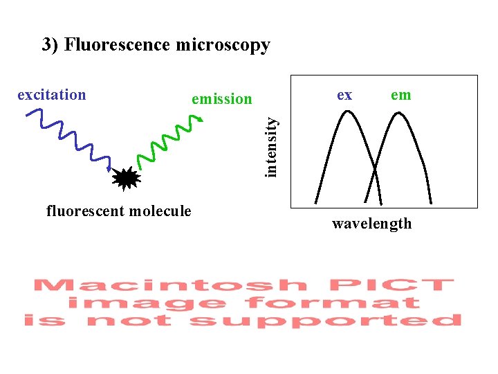 3) Fluorescence microscopy ex emission em intensity excitation fluorescent molecule wavelength 