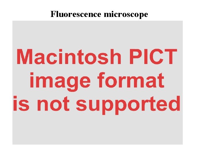 Fluorescence microscope 