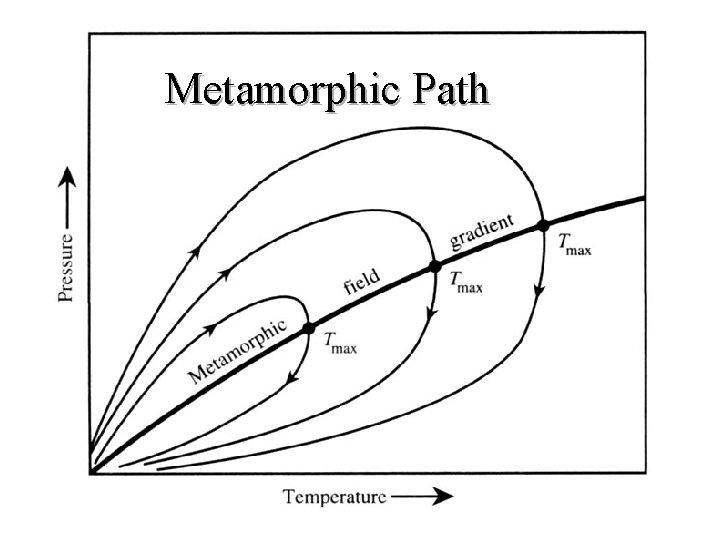 Metamorphic Path 