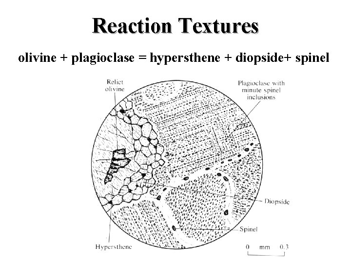 Reaction Textures olivine + plagioclase = hypersthene + diopside+ spinel 