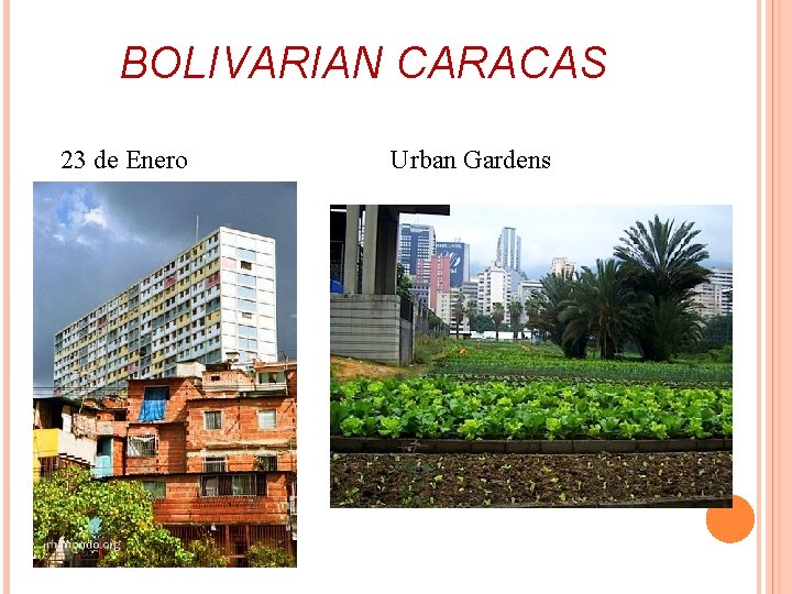 BOLIVARIAN CARACAS 23 de Enero Urban Gardens 