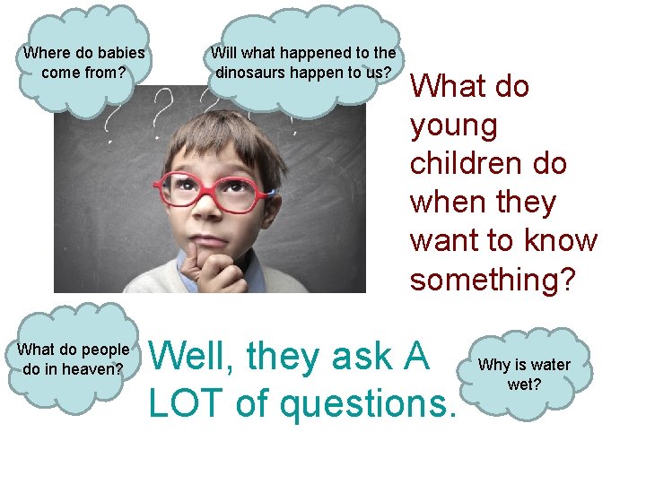 Where do babies come from? What do people do in heaven? Will what happened