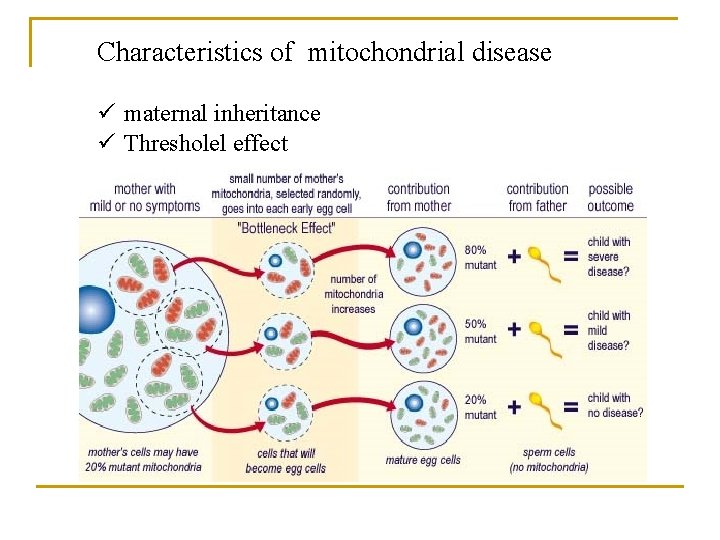 Characteristics of mitochondrial disease ü maternal inheritance ü Thresholel effect 