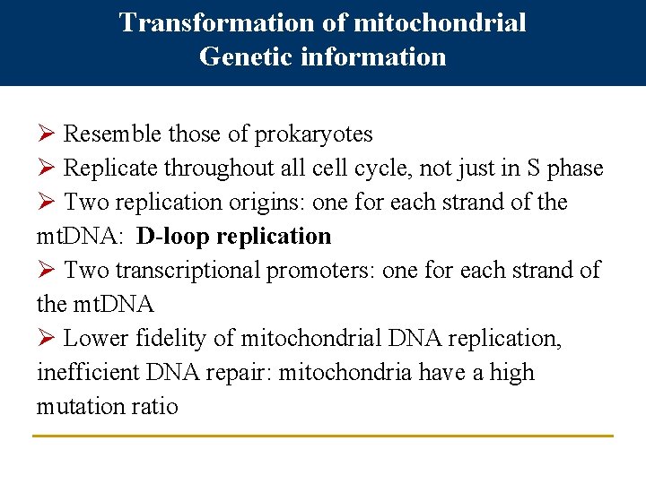 Transformation of mitochondrial Genetic information Ø Resemble those of prokaryotes Ø Replicate throughout all