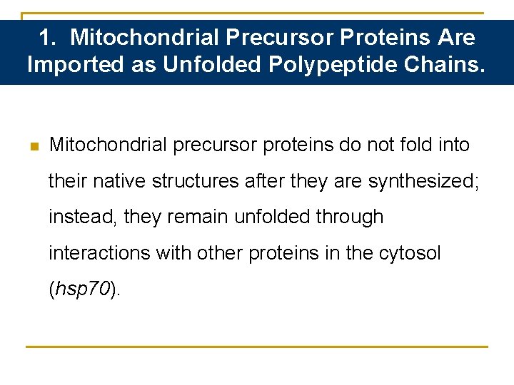 1. Mitochondrial Precursor Proteins Are Imported as Unfolded Polypeptide Chains. n Mitochondrial precursor proteins