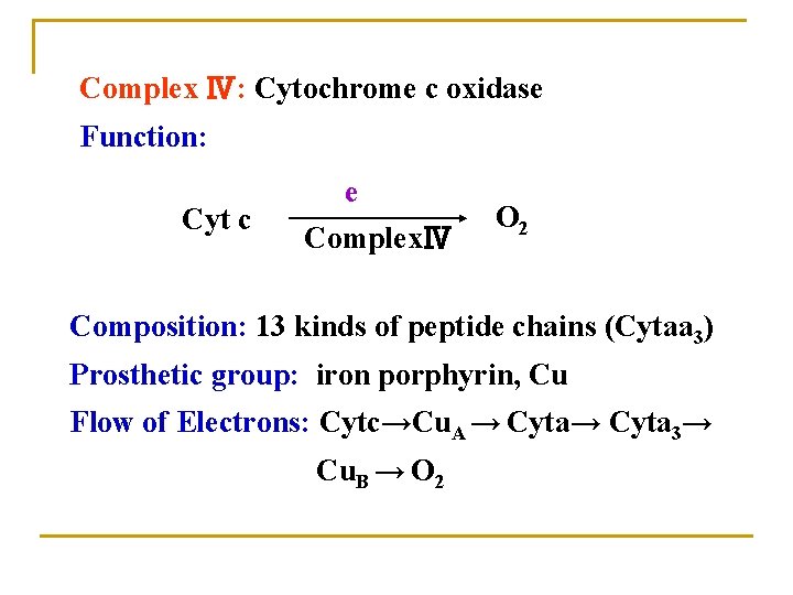 Complex Ⅳ: Cytochrome c oxidase Function: Cyt c e ComplexⅣ O 2 Composition: 13