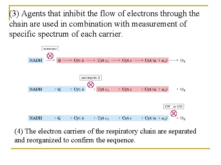 (3) Agents that inhibit the flow of electrons through the chain are used in