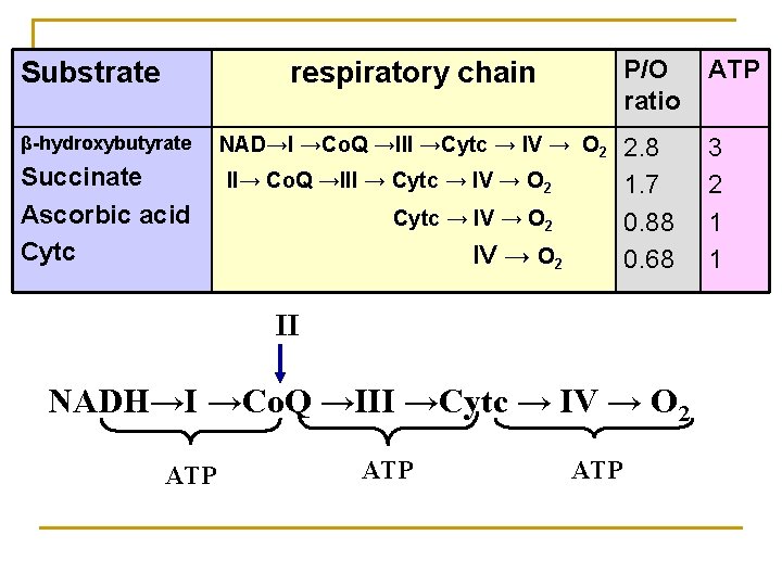 Substrate β-hydroxybutyrate Succinate Ascorbic acid Cytc respiratory chain P/O ratio ATP NAD→I →Co. Q