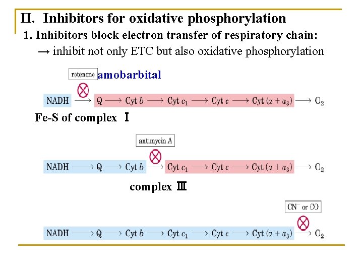 II. Inhibitors for oxidative phosphorylation 1. Inhibitors block electron transfer of respiratory chain: →