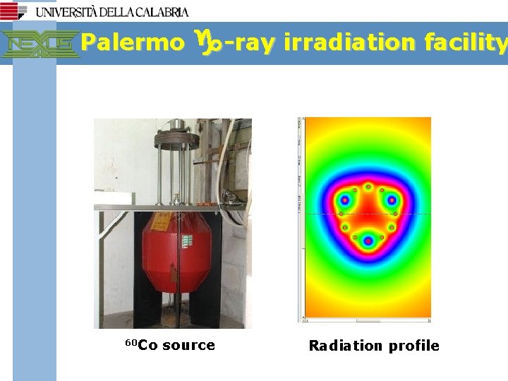 Palermo 60 Co g-ray irradiation facility source Radiation profile 