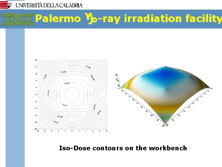 Palermo g-ray irradiation facility Iso-Dose contours on the workbench 