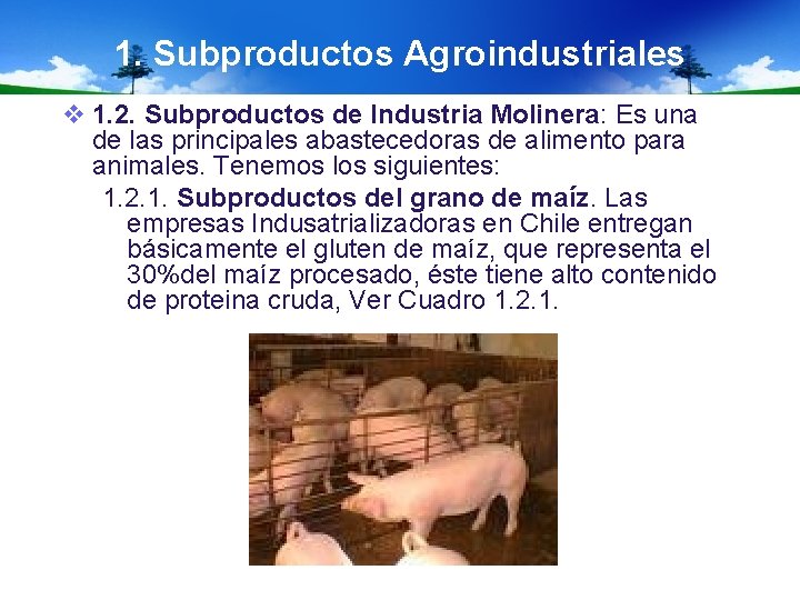 1. Subproductos Agroindustriales v 1. 2. Subproductos de Industria Molinera: Es una de las
