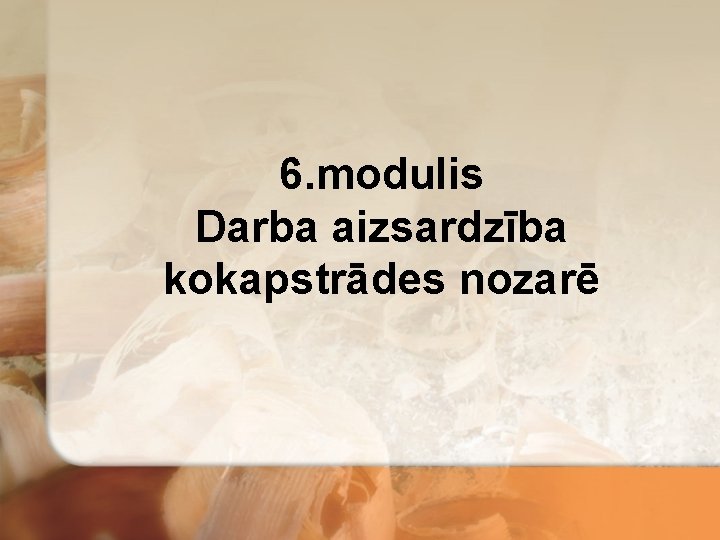 6. modulis Darba aizsardzība kokapstrādes nozarē 