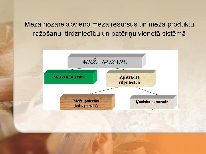 Meža nozare apvieno meža resursus un meža produktu ražošanu, tirdzniecību un patēriņu vienotā sistēmā