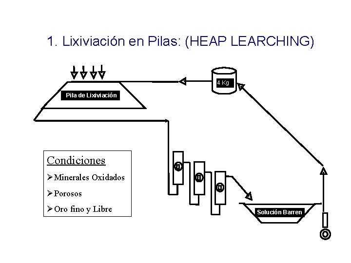 1. Lixiviación en Pilas: (HEAP LEARCHING) 4 Kg Pila de Lixiviación Condiciones ØMinerales Oxidados