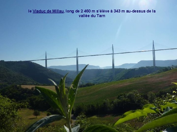 le Viaduc de Millau, long de 2 460 m s’élève à 343 m au-dessus