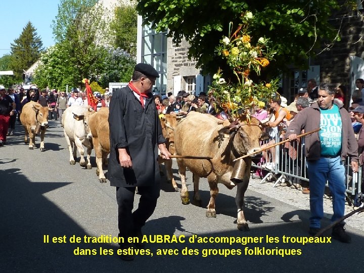 Il est de tradition en AUBRAC d’accompagner les troupeaux dans les estives, avec des