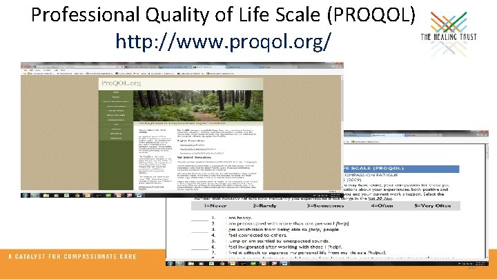 Professional Quality of Life Scale (PROQOL) http: //www. proqol. org/ 10 