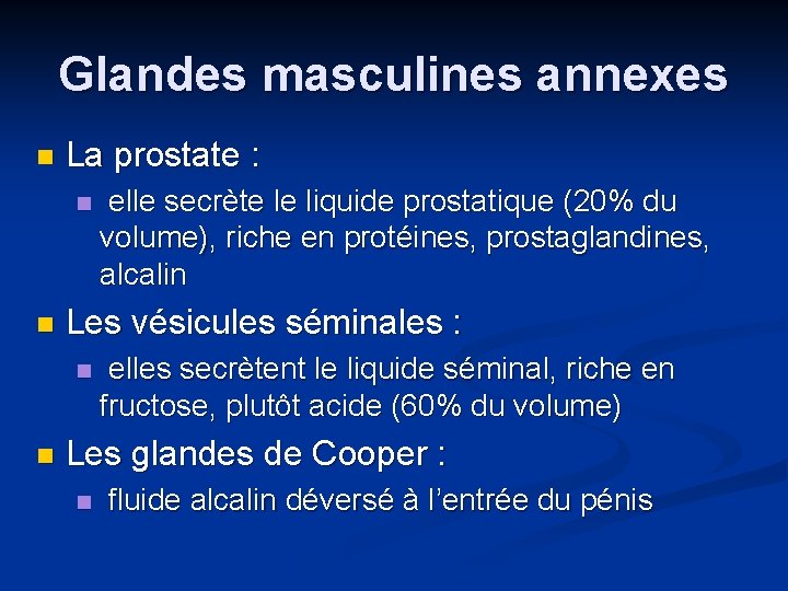 Glandes masculines annexes n La prostate : n n Les vésicules séminales : n