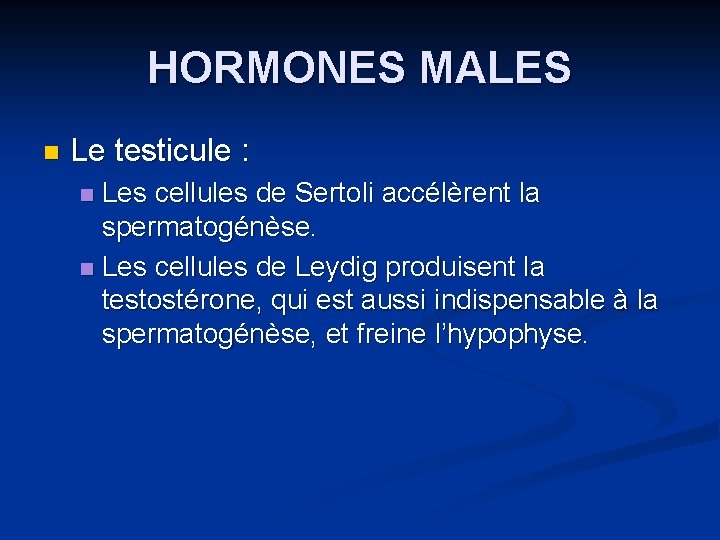 HORMONES MALES n Le testicule : Les cellules de Sertoli accélèrent la spermatogénèse. n
