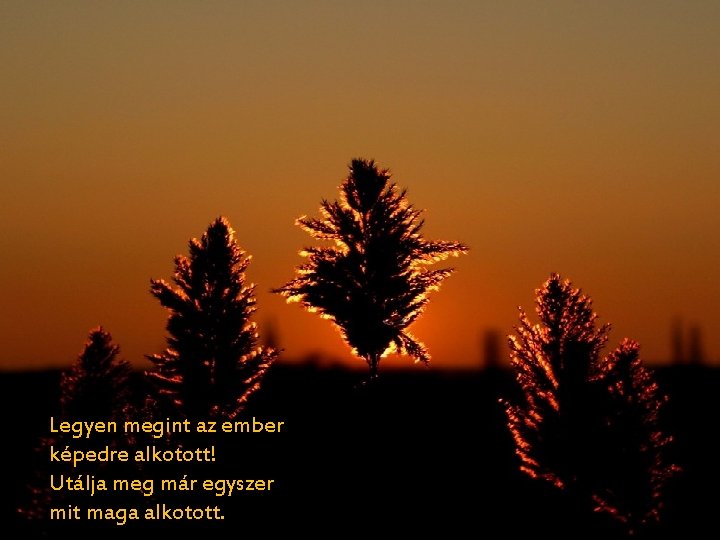 Legyen megint az ember képedre alkotott! Utálja meg már egyszer mit maga alkotott. 
