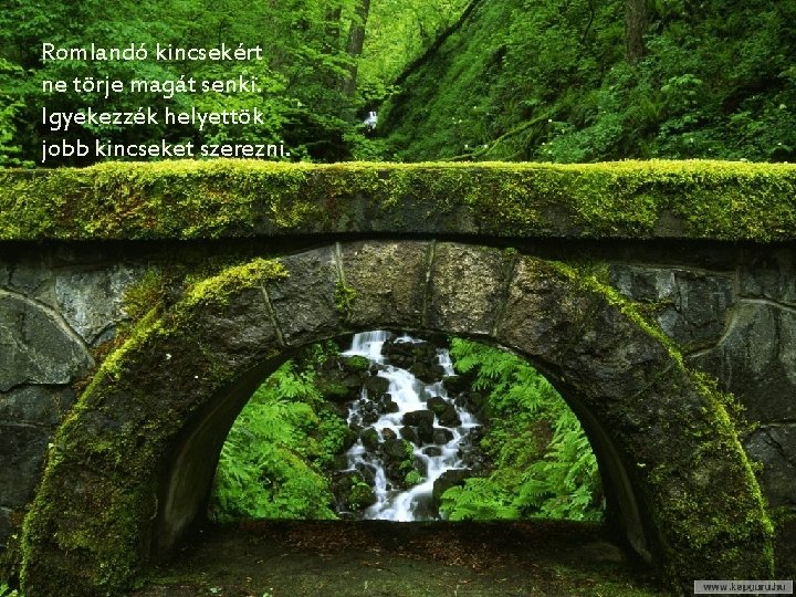 Romlandó kincsekért ne törje magát senki. Igyekezzék helyettök jobb kincseket szerezni. 