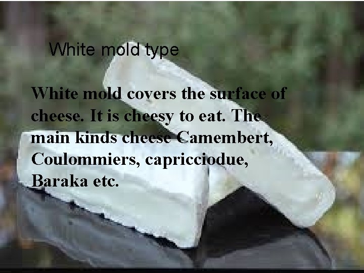 White mold type White mold covers the surface of cheese. It is cheesy to