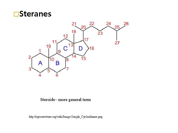 �Steranes Steroids– more general term http: //openwetware. org/wiki/Image: Simple_Cycloalkanes. png 