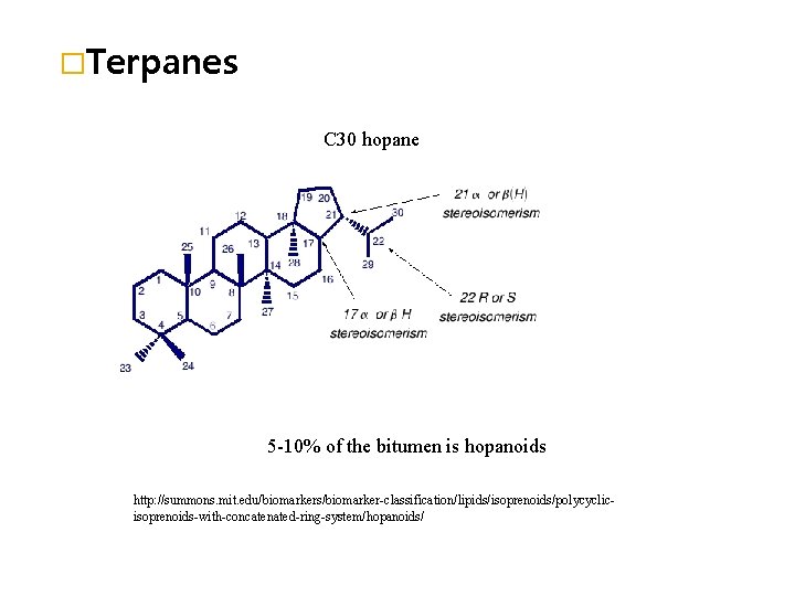 �Terpanes C 30 hopane 5 -10% of the bitumen is hopanoids http: //summons. mit.